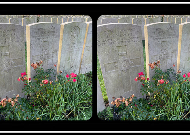 A Tribute on Armistice Day – The Stereoscopy Blog